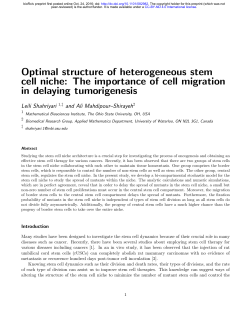 Optimal structure of heterogeneous stem cell niche: The importance