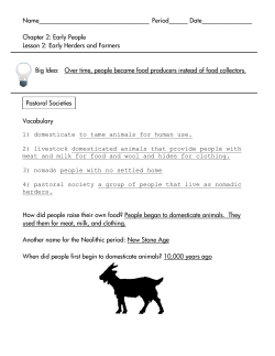 Early People Lesson 2