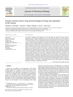 Primate enamel evinces long period biological timing and regulation