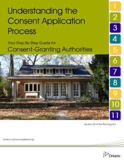 Understanding the Consent Application Process