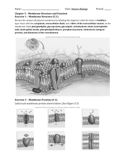 Chapter 5 Worksheet