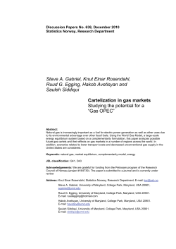 Cartelization in gas markets. Studying the potential for a “Gas OPEC”