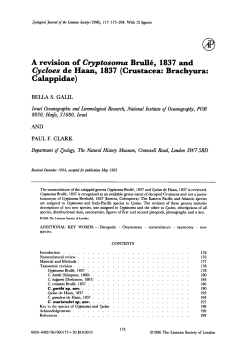 A revision of Cryptosoma Brull, 1837 and Cycloes de Haan, 1837