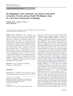 Do chimpanzees (Pan troglodytes) use cleavers and anvils to