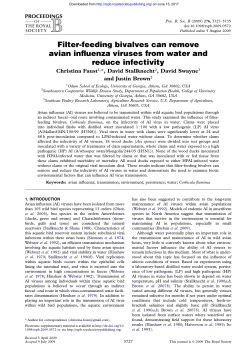 Filter-feeding bivalves can remove avian influenza viruses from