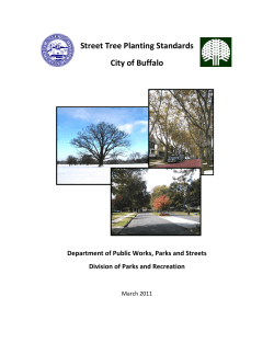 Street Tree Planting Standards City of Buffalo