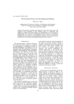 The Vertebrate Dermis and the Integumental Skeleton Department
