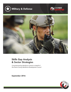 Military and Defense Skills Gap Analysis and Sector Strategies