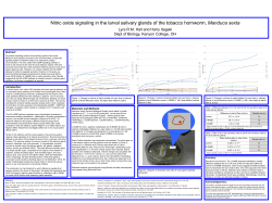 Nitric oxide signaling in the larval salivary glands of the