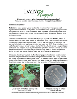 Student activity, Graph Type A, Level 4