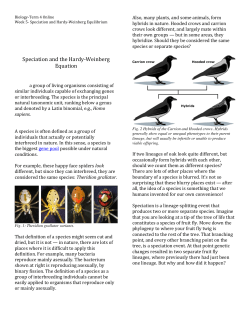 Speciation and the Hardy-‐Weinberg Equation