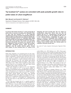 Tip localized Ca2+ pulses are coincident with peak pulsatile growth