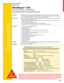 SikaRepair&reg; 224 - Sika Corporation