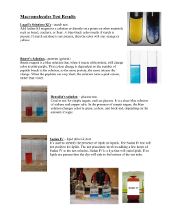 Macromolecules Test Results