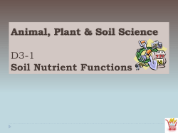 Soil Nutrients