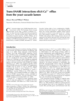 Trans-SNARE interactions elicit Ca2 efflux from the yeast vacuole