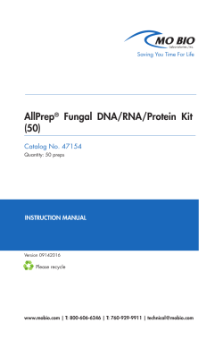 AllPrep&reg; Fungal DNA/RNA/Protein Kit (50)