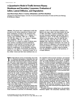 A Quantitative Model of Traffic between Plasma Membrane and