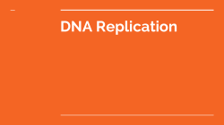 DNA Replication