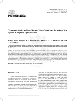 Taxonomic Studies on Three Marine Ciliates from China, Including a