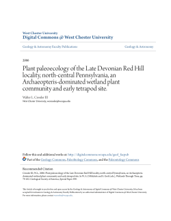 Plant paleoecology of the Late Devonian Red Hill locality, north