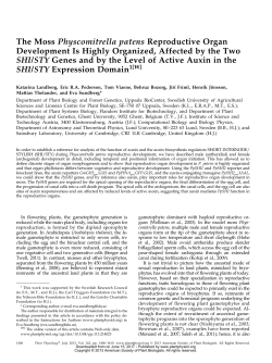 The Moss Physcomitrella patens Reproductive Organ Development
