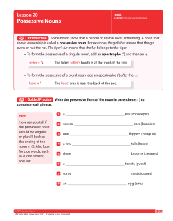 Possessive Nouns - The Lesson Builder