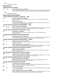 Friday - Foy Trent Dog Shows