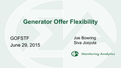 Generator Offer Flexibility