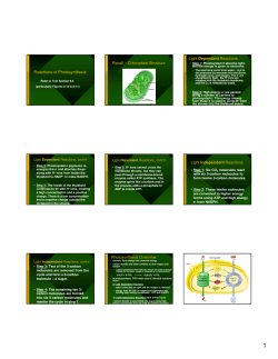 Reactions of Photosynthesis Recall &ndash; Chloroplast Structure Light