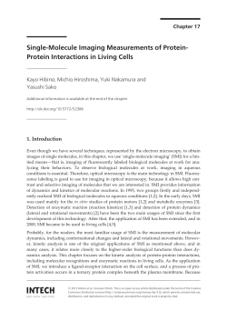 Single-Molecule Imaging Measurements of Protein