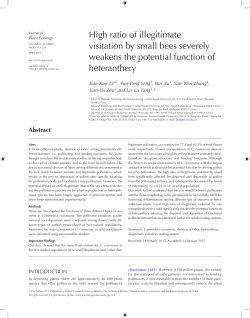 High ratio of illegitimate visitation by small bees