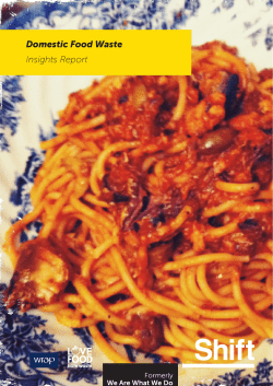 Domestic Food Waste Insights Report