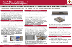 Cotyledon-on-a-chip: Replicating the function of the placental barrier