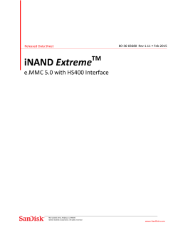 iNAND 7030 Extreme Datasheet v1