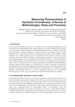 Measuring Photosynthesis in Symbiotic Invertebrates: A