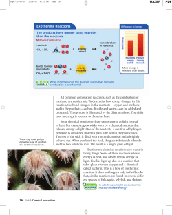 Exothermic Reactions