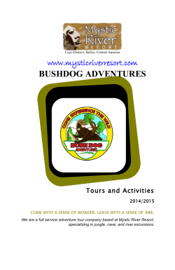 bushdog adventures - Mystic River Resort
