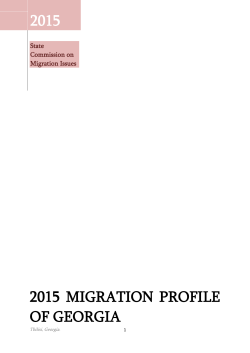2015 Migration Profile of georgia