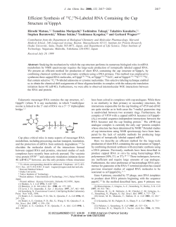 Efficient Synthesis of 13C, 15N-Labeled RNA Containing the Cap