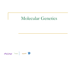 Biology 30 Notes on Structure of DNA