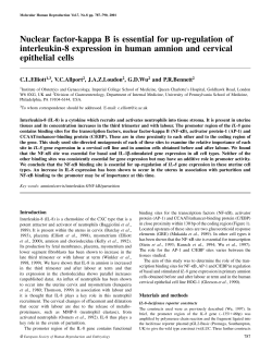 Nuclear factor-kappa B is essential for up-regulation of interleukin