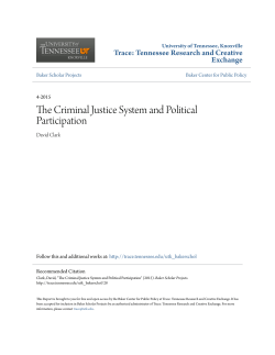 The Criminal Justice System and Political Participation