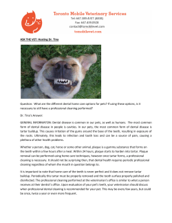 ASK THE VET: Hosting Dr. Tina Question: What are the different