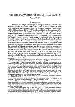 On the Economics of Industrial Safety
