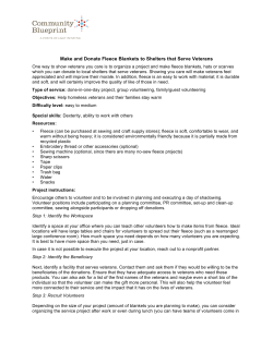 Make and Donate Fleece Blankets to Shelters that