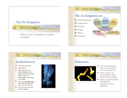 The Six Kingdoms The six kingdoms are&hellip; Archaebacteria Eubacteria
