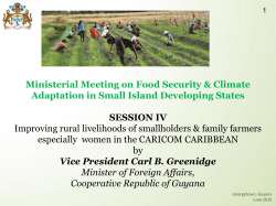 H.E. Mr. Carl Greenidge, Vice President and Minister of Foreign