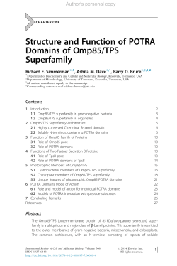 Structure and Function of POTRA Domains of