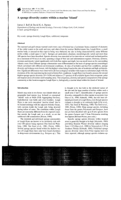 A sponge diversity centre within a marine `island`